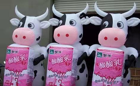 龙南牛奶厂广告气模